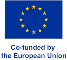 Co-funded by the European Union
